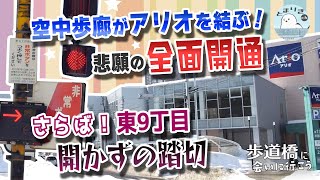 アリオ空中歩廊が悲願の全面開通！さらば！東9丁目開かずの踏切