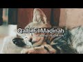 Qalbi Fil Madinah || Maher Zain & Harris (sped up - Vocals Only) #nasheed
