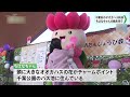 オオガハスの妖精「ちはなちゃん」誕生日会　市民ら祝う（2024.11.24放送）