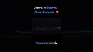 Bioluminescene at Chennai Thiruvanmiyur Beach 🏖️ #bioluminescence