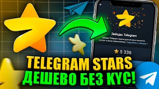 Как Купить Telegram Stars и TG Premium за TON Дёшево и Без Верификации в 2025!