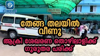 ഒരുമനയൂരിൽ തേങ്ങ തലയിൽ വീണ് ആക്രി ശേഖരണ തൊഴിലാളിക്ക് ഗുരുതര പരിക്ക്