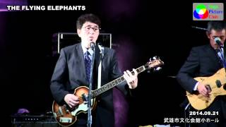 【Now My Love】THE FLYING ELEPHANTS