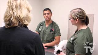 Obesity and your Pet