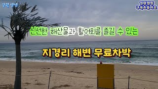 신선한 해산물과 활어회를 즐길 수 있는지경리 해변 무료차박지/캠핑요리 두부찌개