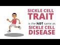 What is Sickle Cell Trait With Cincinnati Children's Hospital - Live Well Collaborative