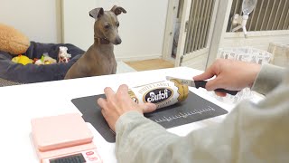 愛犬の目の前でブッチを切るとか理想の家族すぎん？やってみる！【イタグレ】