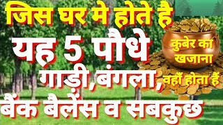 जिस घर में होते है यह 5 पौधे उस घर में गाड़ी,बंगला,बैंक बैलेंस और होता है सब कुछ!