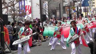 町田夢舞生ッスイ祭 2011　東京メトロシーブルー 原町田三丁目商店会通り