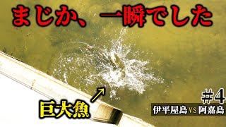 【衝撃】落した瞬間、一瞬で食いつく巨大外来種！そして、絶品100円飯ｗ【伊平屋島VS阿嘉島釣り対決＃4】