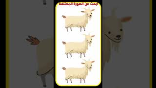 استخرج الصورة الغريبة في مسابقة للتحدي #الغاز #quiz #مسابقات #puzzle #لعبة #findoddoneout