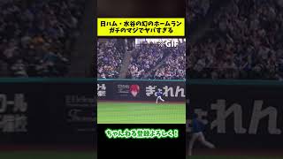 日ハム・幻のホームランがガチのマジでヤバすぎる#shorts #プロ野球 【なんJ反応集】