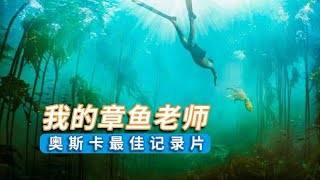 奥斯卡最佳纪绿片，一只章鱼的传奇一生《我的章鱼老师》