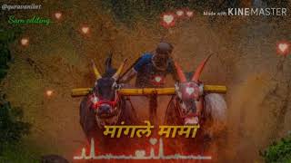 Chikhli gutta sharyat 2019(29)