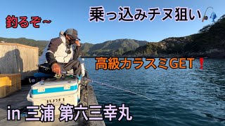 ♯45 初めての渡船場  紀北町 三浦の第六三幸丸の筏で乗っこみチヌ狙い‪🎣‬