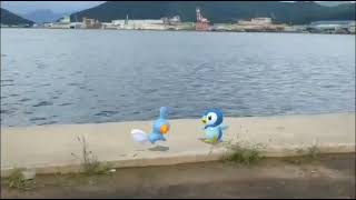 물짱이\u0026팽도리 ( Mudkip\u0026Piplup ) ミズゴロウ\u0026ポッチャマ ( 水躍魚\u0026波加曼 ) (16:9)