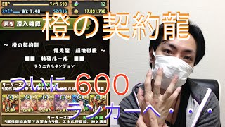 【パズドラ】ランク５００台最後は橙の契約龍でSランクを狙う！ #37