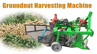 How to harvest peanuts efficiently? Groundnut harvesting machine | green peanut harvester