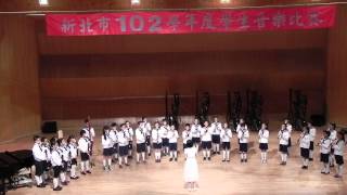 新北市102學年度學生音樂比賽-集美國小優等