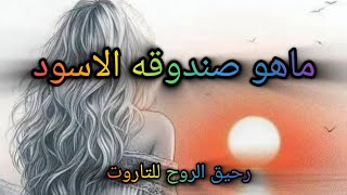 #اختر_كارت ما هو الصندوق الأسود؟! ايه اللي مخبيه؟!