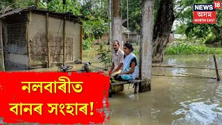 Flood In Nalbari : পাগলাদিয়াৰ বাঢ়নি পানীয়ে ঠায়ে ঠায়ে বুৰাইছে বাটপথ