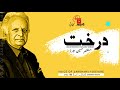 short stories of mustansar husain tarar afsana kahani adab