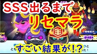 輪廻100戦周回でレアアイテム落ちた ドロップ率高い 妖怪ウォッチぷにぷに シソッパ