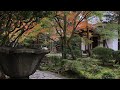 法然院 参道から山門への紅葉 2017年11月20日 秋【京都の紅葉】