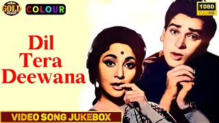 Dil Tera Deewana - 1962 Movie Video Songs Jukebox l Romantic Song l Colour |Shammi Kapoor