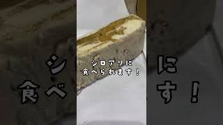 発泡ウレタン断熱はシロアリに食べられます