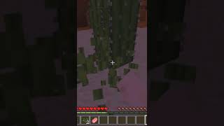 Spadłem w przepaść #minecraft #gaming #games #gameplay