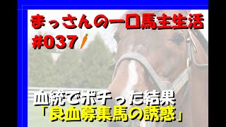 まっさんの一口馬主生活＃37　ミスった出資馬列伝マジブランシェ、イデアーレ編