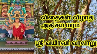 வைரவன்பட்டி வயிரவர் | ஸ்ரீ வயிரவர் வரலாறு  | sri Vairavar History | vairavanpatti vairavar