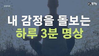 하루 3분이면 충분한 내 감정 돌보기(감정자각 명상)