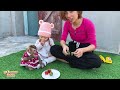 monkey kaka and baby diem make friends with guinea pigs