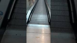 #Kone #Travelmaster 115 Moving Walkway/Travelator (P2) - Marketplace Gungahlin CBR Australia #shorts