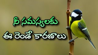 Famous Telugu Quotes | Jeevitha Satyalu #7 | motivational video | Inspiring video in telugu