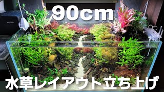 90㎝水草レイアウト水槽立ち上げ‼　aquarium　アクアリウム　熱帯魚　水槽　水草　流木　テラリウム