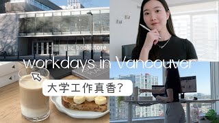 北美高校工作日常 | 在UBC大学上班的一天 | 为什么喜欢在大学工作？ | workdays in Vancouver