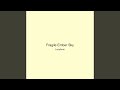 Fragile Ember Sky