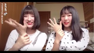 TikTok Hot Trend なにか いい こと ない かな, Kitai あさぎーにょ#なにか いい こと ない かな