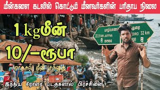 ஒரு கிலோ மீன் பத்து ரூபா😯 | மீன்களை கடலில் கொட்டும் மீனவர்கள் #MahakalFishmarket