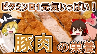 【ゆっくり解説】豚カツ生姜焼き！豚肉の栄養について解説！