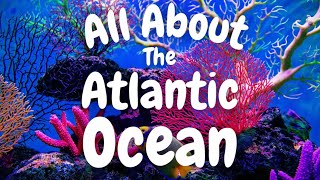 Atlantic Ocean 🌊 Kids Educational 🧠 Science for Kids 🐙 Ocean Animals for Kids