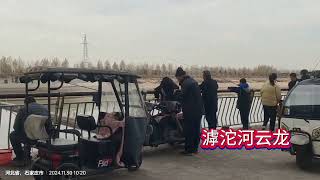 野钓花鼓鱼 滹沱河云龙大桥花鼓鱼不少#钓鱼人就是这么疯狂