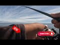 fishing with fishing master burley.（how to catch bream at hallett cove in 3 hours）