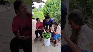 ย่าก็รีบเปิดดูจังเลย #ตลก #คลิปตลก #funny #comedy