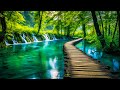 Beautiful Relaxing Music - Stop Overthinking, Stress Relief Music, Sleep Music, Calming Music #2