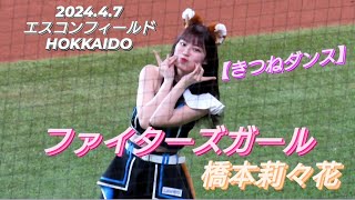 2024.4.7  ファイターズガール　橋本莉々花　【きつねダンス】