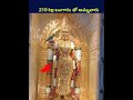 210 kg బంగారం తో అమ్మవారు shorts ytshorts telugu god gold trending viralvideo viralvideo